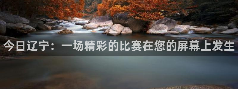 今日辽宁：一场精彩的比赛在您的屏幕上发生